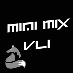 Mini Mix 1