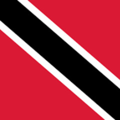 DJ Max - Trini To De Bone Remix 2025