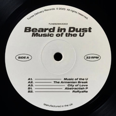 PREMIERE: Beard In Dust - The Armenian Break [Tunes Delivery]