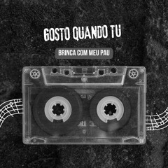 GOSTO QUANDO TU BRINCA COM MEU PAU ( DJs DA COSMOLANDIA )