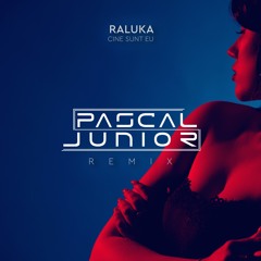 Pascal Junior x Raluka - Cine Sunt Eu | Remix