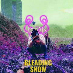 BLeaDiNG SNOW