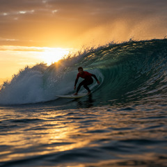 Maremoto - Olas de Sayulita