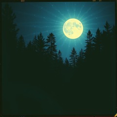 New Wave, Bossa Nova