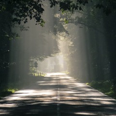 A Long Night's Journey into Day