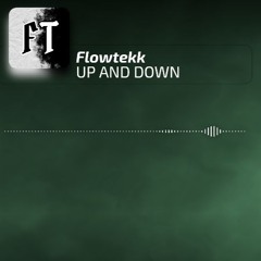 UP AND DOWN - FLOWTEKK [HARDTEKK]