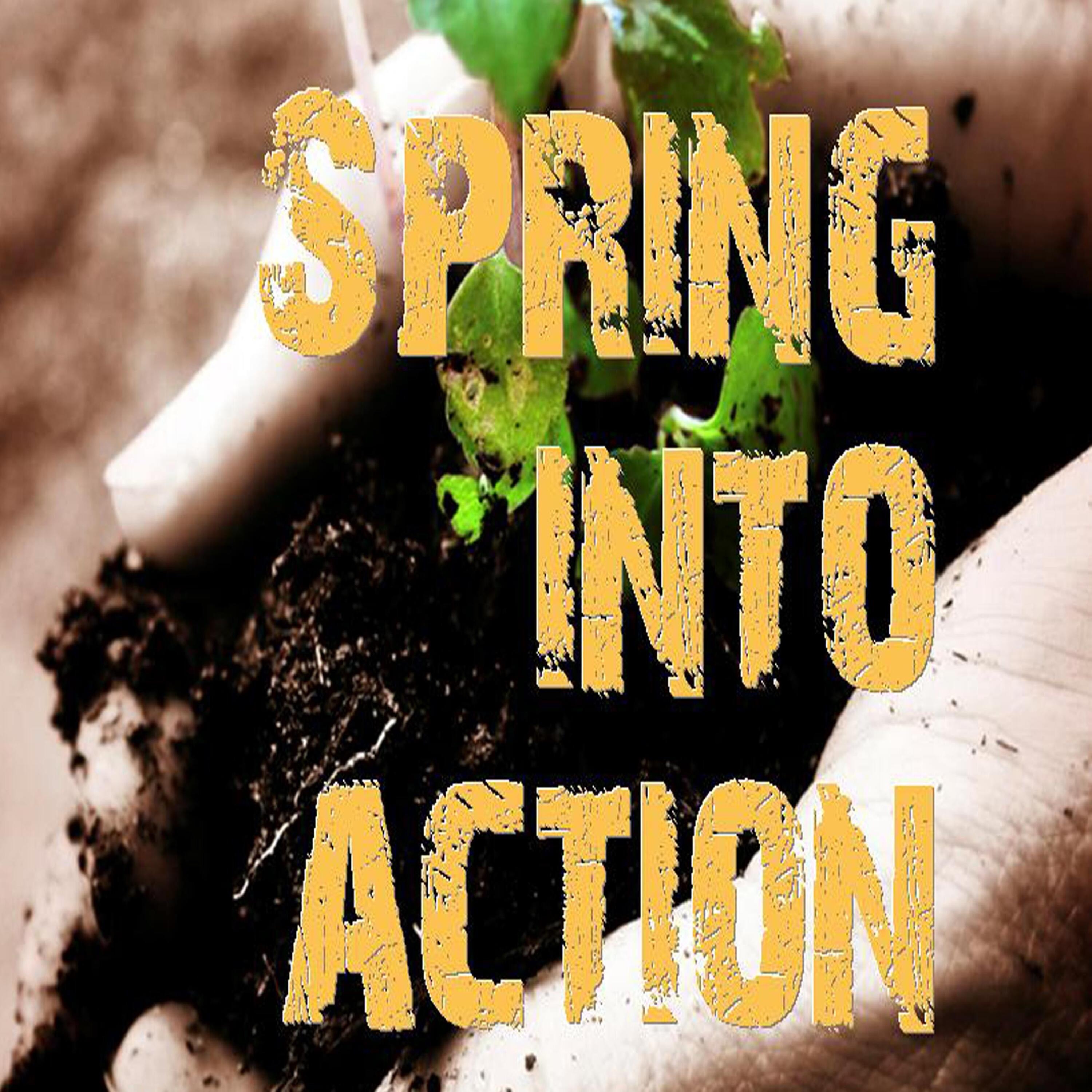 Spring into Action Power Encounters episode artwork