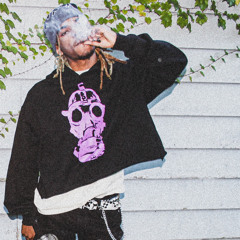 Toxic Freestyle ( Cleaning Out My Closet Remix )