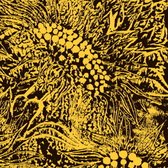 Can't Get You Out of my Head