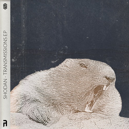 Shodan & Colossus - Dead Already [Premiere]