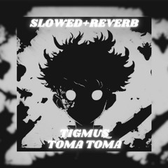 Toma Toma [Slowed+Reverb] (Official Audio)