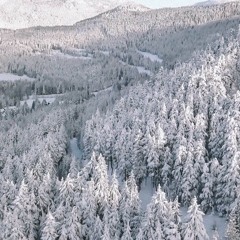 Winter Dreams (feat. Stony)