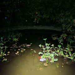 Live @ NOPA FEST, Botanical Garden Acousmonium, Yerevan, Armenia Sonia Saroya Edouard Sufrin