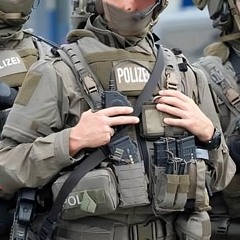 Der Exekutivbeamte