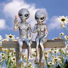 STARSEED REUNION: SOUL URGE 33 🌌🌱⭐👽⭐🌱🌌