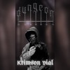 Dungeon Stream Krimson Vial DJ mix artwork - Electronic music tracklist cover image
