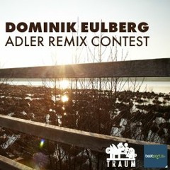Dominik Eulberg - Adler (Daniel Helmstedt & David Schumaier Remix)