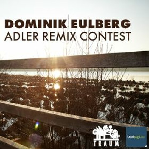 Dominik Eulberg - Adler (Daniel Helmstedt & David Schumaier Remix)