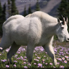 G.I.H.F Remix Dice Mula Freestyle(MJDmx1)