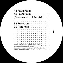 Innate Editions 001: Connective Zone - Palm Palm