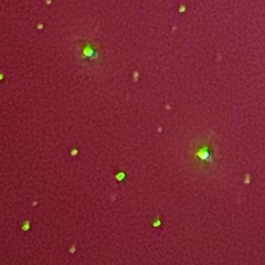ZecIII