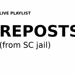 EN_PUNITION_REPOSTS_33