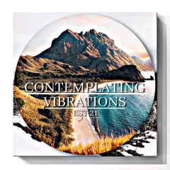 Contemplating Vibrations [18] Paranoid SouL
