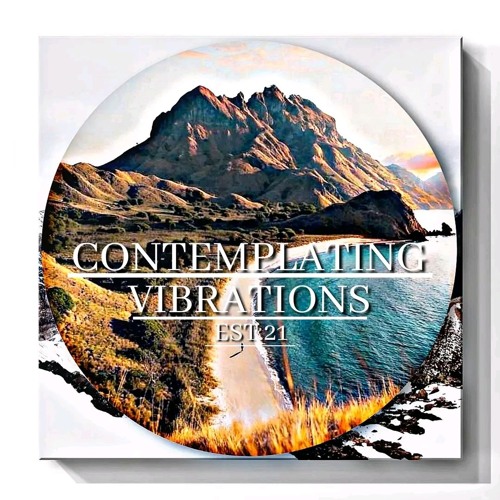 Contemplating Vibrations [18] Paranoid SouL