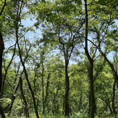 주님 말씀하시면