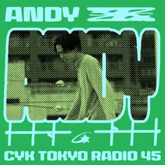 045 ANDY (ISM)