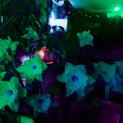 .:. 2024*04*19 .:. Last Dream of You .:.