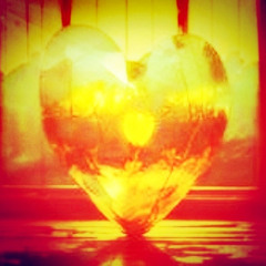 DANGOOD LIFE TOGETHER