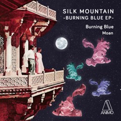 DHS Premiere: Silk Mountain - Burning Blue (Original Mix)