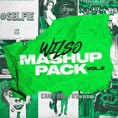 WILSO MASHUP PACK VOL 2 [ELECTRO HOUSE #2)
