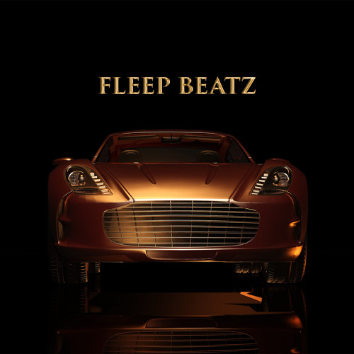 Fleep B'Hitz - The Instrumentalz Vol.1