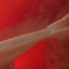 It will never be more ready