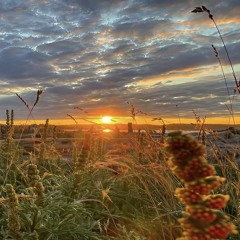 Sweet Darling Cover:Mhatt ft.Cho