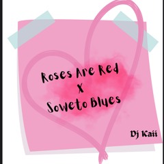 Roses Are Red x Soweto Blues TikTok Mix