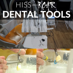 HISSandaROAR SD077 DENTAL TOOLS Preview