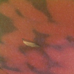 Pride of mind - 4. Black sun