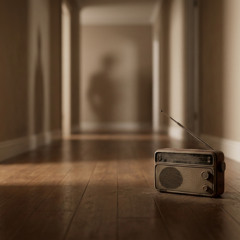 Jocelyn Vibes -  Echoes in the Hallway