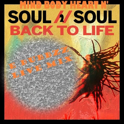 BACK 2 LIFE (MIND BODY HEART 'N SOUL2SOUL nyc E DUBBZZ LIVE MIX )