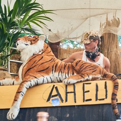 Rob Roberts @ Aheu! / Zugvögel Festival 2024