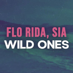 Flo Rida feat. Sia - Wild ones [HRDTKK REMIX]