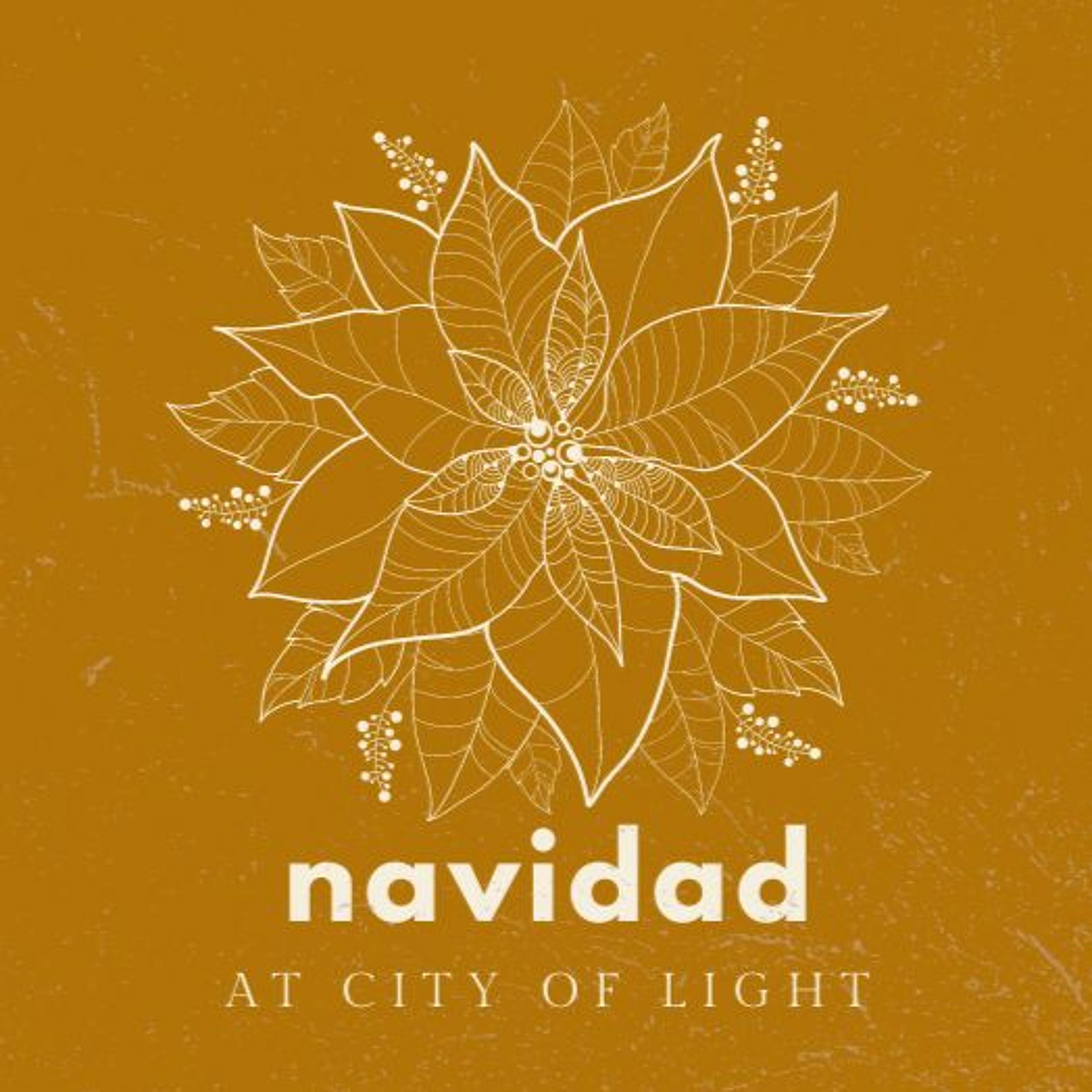 City of Light Church Aurora