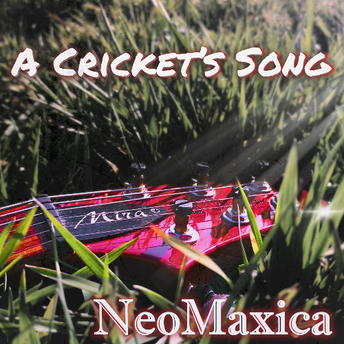 A Cricket's Song