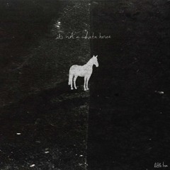 It’s not a white horse .wav
