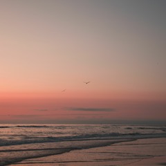 Solace