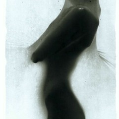 Eerie/Iri/Irie Beach Party