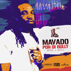 Pon Di Gully (Born & Grow)
